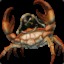 DoomCrab