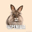 Черемша