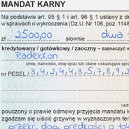 kotek_wymiotek