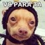 FelipinhoPJL