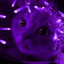 Microb