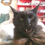 raze - steam id 76561198117861307