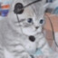 Ch4rl0tt3