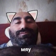 котик