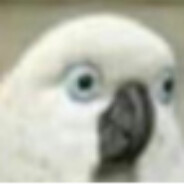 看你笨得像人机