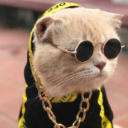 ︻デ 一 ☭ sniper