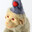 Circus Monkey 2