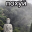 Xewi