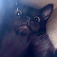 LUCAS