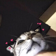 诚实可靠小郎君