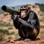 Bazooka Ape