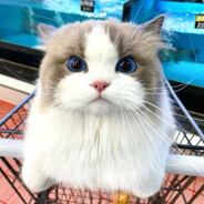 世间尤有裴南苇