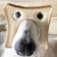 Cini