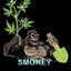 ๖ۣۜSmokey