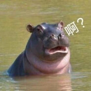 河马河河马河马马马河