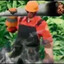 polytetrafluoroethylene gaming