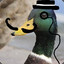 Duckboy3825