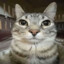 GATO