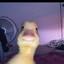 oooooooooozggu