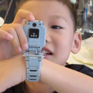 此情可待成追忆