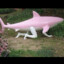 Pink Walkerfish