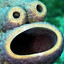 Squidman