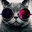 Kucing Salto
