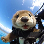 犯困嫌疑人张某