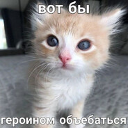 с проебанной