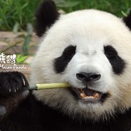 德克士咔滋脆皮手枪腿