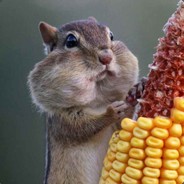 Big Avatar