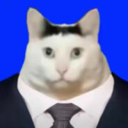 伤害女人的事我做不到