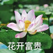 花开富贵