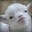 Ain't Goat Time For Dat