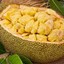 Jackfruit