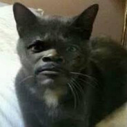 писькогрыз228