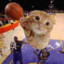 Michael Jordan Cat