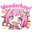 WONDERHOY!
