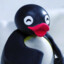 PINGU