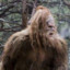 Sasquatch