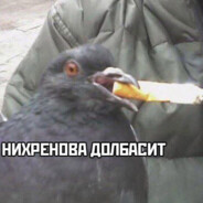 ГОлубИное_Очko