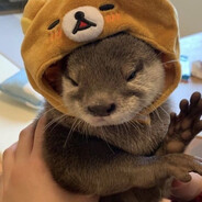 小海獭转职小水獭