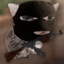 Gato