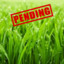 Pending Grass