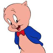 Porky Pig