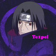 Te1pel - steam id 76561199820156782