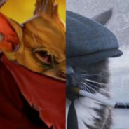 высокий градус