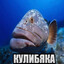 КУЛИБЯКА