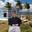 Palm Beach Pat
