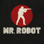 Mr. Robot